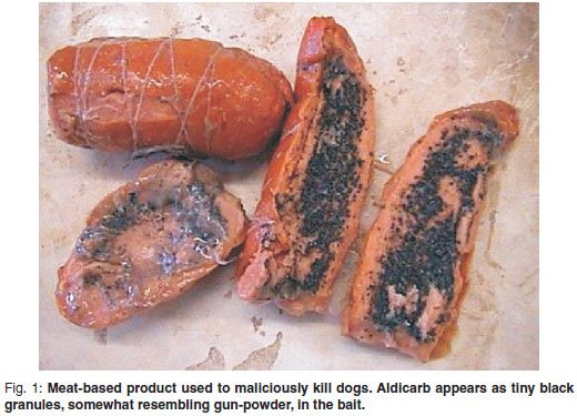 Aldicarb / Carbamate / Two-step used to poison pets
